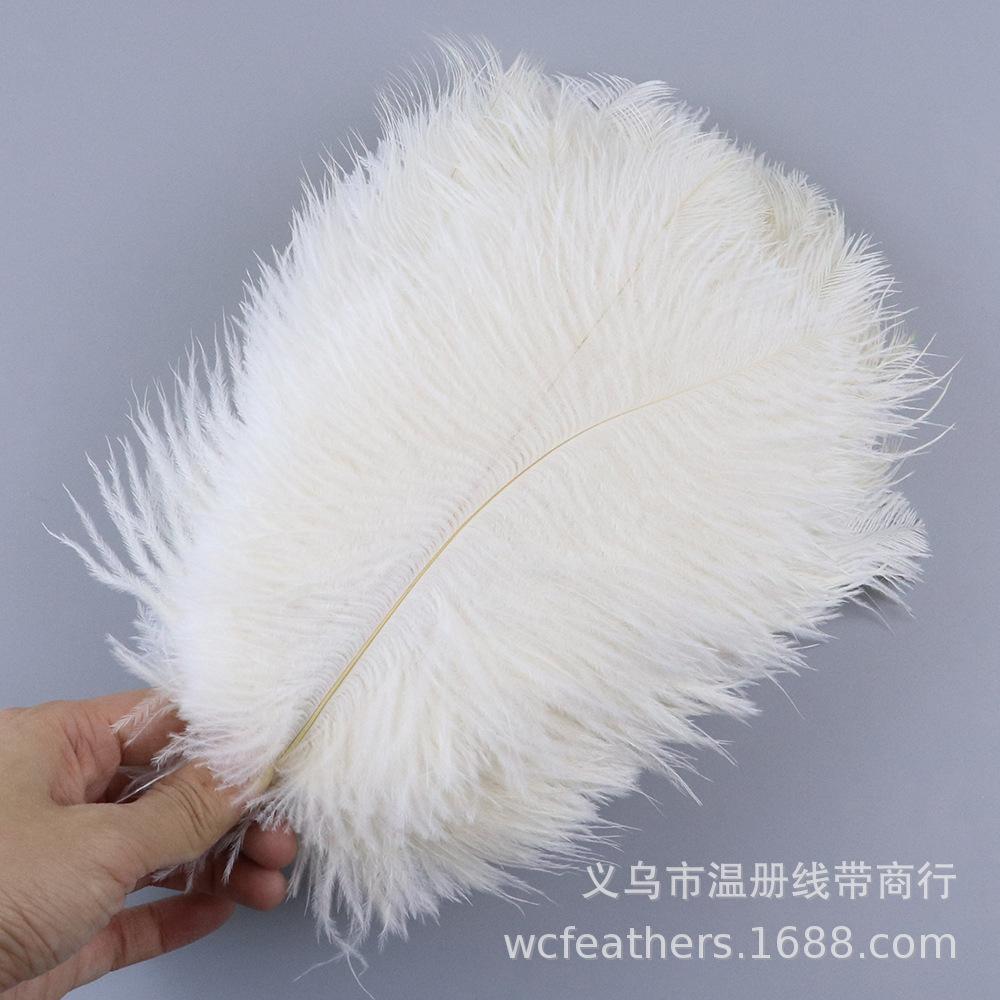 TS0103012 25-30cm white ostric