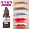CS práctica color novato principiante tatuaje semipermanente tatuaje ceja flotante color de labios crema niebla ceja línea de ojos labio fácil de colorear