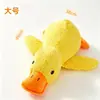 Juguete para perro, peluche, juguete masticable duradero para moler los dientes y aliviar el aburrimiento, juguete para mascotas que hace ruido, accesorios para mascotas, juguete para perro