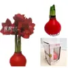 Dropshipping Selo de Cera Bola Flor Amaryllis Cera Flor Preguiçosa Planta Natal Ano Novo Festival da Primavera Dia dos Namorados Presente