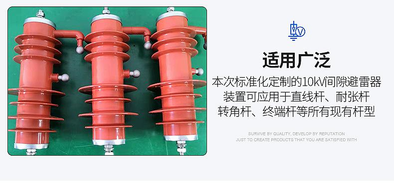 YH10CX-13-36避雷器_07.jpg