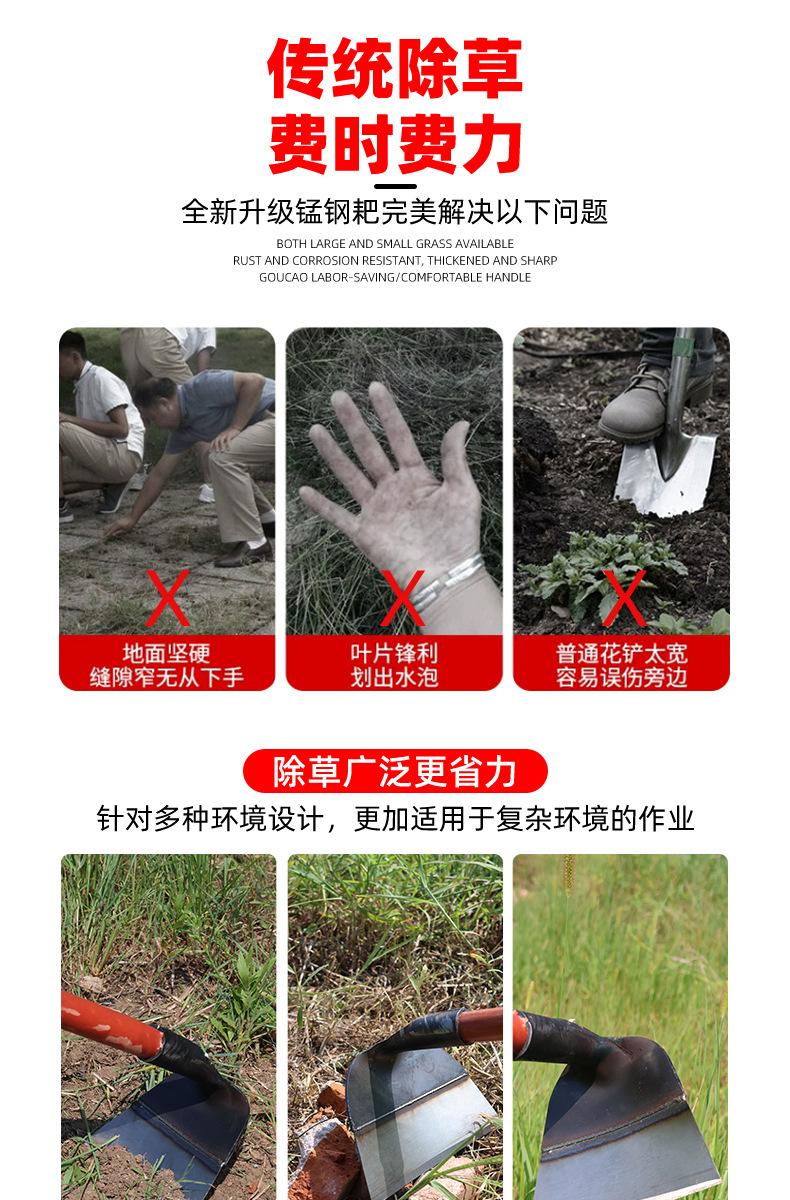 3 拷贝.jpg
