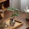 Plantas Hidropônicas, Árvore da Fortuna, Vasos de Flores para Mesa de Escritório e Sala de Estar, Plantas Verdes Purificadoras