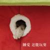 Nido de Gato Guofeng Casa Completamente Cerrada para Gatos Casa Pequeña para Perros Perrera Esterilla para Dormir Invierno Cálido Nido de Gato Japonés Extraíble y Lavable