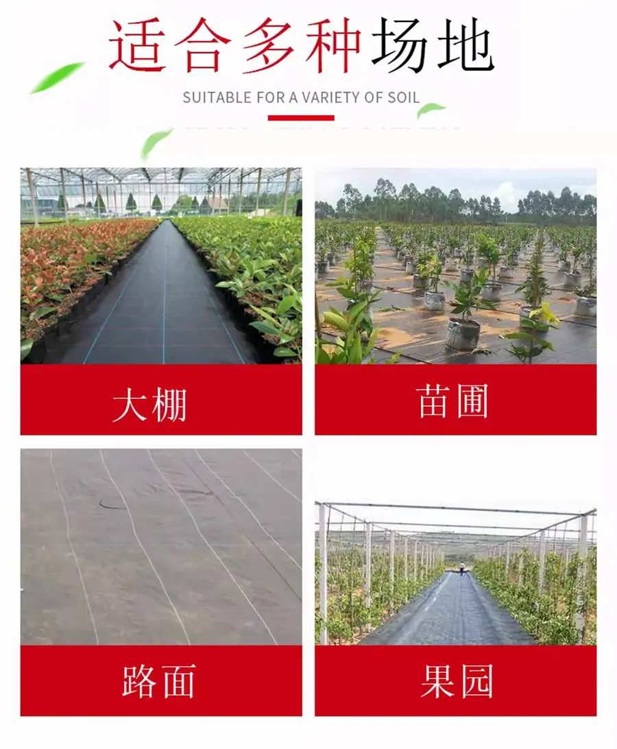 防草布10