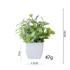 Venta Caliente Transfronteriza Planta de Simulación Planta Falsa Planta Verde Decoración Interior y Exterior Plástico Maceta Eucalipto Planta en Maceta Pequeña