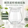 Jarrón de vidrio con forma de huevo del fabricante en stock, botella de vidrio engrosada de alta transparencia, recipiente para plantas verdes hidropónicas, maceta para suculentas