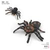 Modelos de Insectos para Simulación Escolar: Mariposa, Mariquita, Escarabajo con Cuernos, Abeja, Mariposa, Saltamontes Juguete Ayudas Cognitivas de Enseñanza