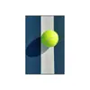 Pintura decorativa temática de tenis retro, estilo industrial, popular entre los influencers, adecuada para canchas deportivas, gimnasios interiores y áreas de descanso