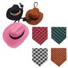Conejo Mascota, Cobaya, Cobaya, Chinchilla, Sombrero de Erizo, Sombrero Pequeño, Sombrero de Vaquero, Babero, Toalla Triangular Transformación