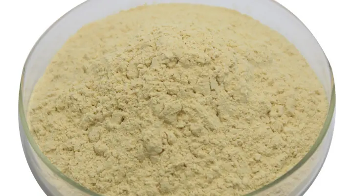 O1CN01kmramC1i40jTSSpA7_!!2453