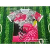 Atacado Camisa do Brasil Edição Especial Série Uniformes de Futebol Manga Curta Adulto