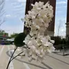 Nueva flor artificial de champán para el hogar, sala de estar, mesa de centro, exhibición de flores, boda, fondo de boda, decoración de pared, flor falsa