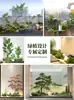 Plantas Verdes Artificiais, Plantas em Vasos, Paisagismo de Interiores, Decoração de Cenas de Restaurantes, Vitrines, Decorações de Paisagem, Árvores Artificiais sob Escadas