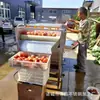 Máquina Limpiadora Automática Paralela de Rodillos, Equipo de Limpieza y Eliminación de Lodo para Mariscos y Moluscos, Máquina Peladora y Limpiadora de Frutas y Verduras