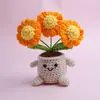 Fio de flor de tricô transfronteiriço pequena margarida planta em vaso flor de simulação sala de estudo ornamento de mesa temporada de volta às aulas Dia dos Professores pequeno presente