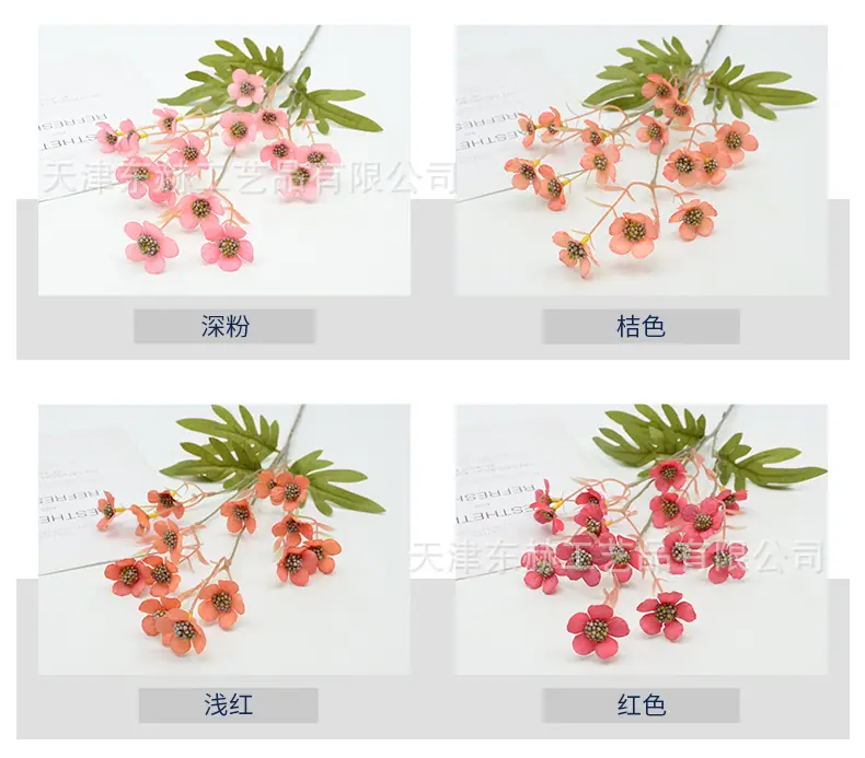详情_03.jpg