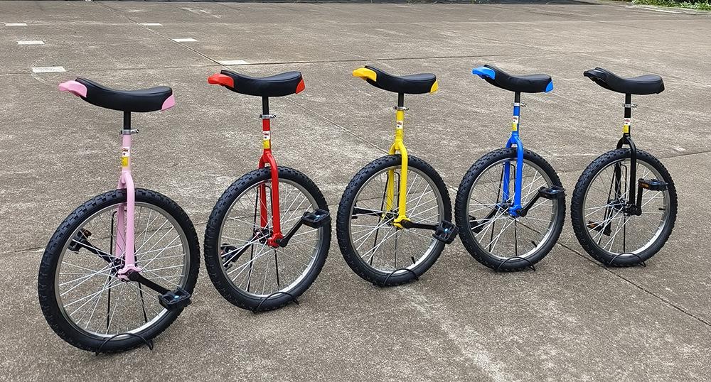 IMG_20230831_084323 1000.jpg