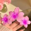 Grampo de Cabelo Flor Colorida Super Fada Transfronteiriço Europeu e Americano Presilha de Flor Pinça de Cabelo Shark Retro Feminina Lateral para Meio da Cabeça