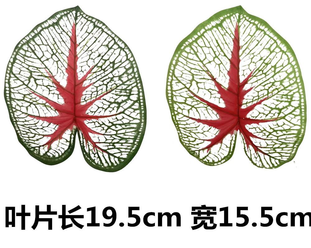 未命名_副本