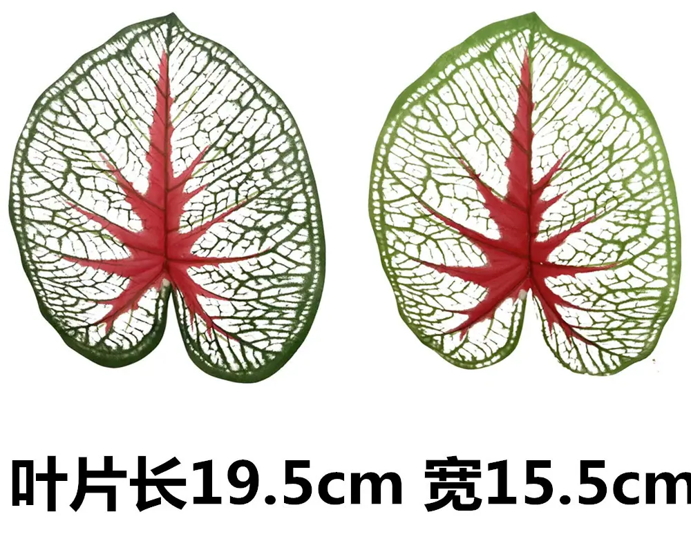 未命名_副本