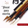 Lobo Ovelha e Pincel Iniciantes Escrevendo Quatro Tesouros Introdução Pincel de Caligrafia Personagens Grande, Médio e Pequeno Estojo Conjunto de Três Pincéis