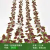 Enredadera Parthenocissus Uva Hoja de Vid Verde Pegada con Goma Decoración de Vid Falsa para Enrollar Tubería Enredadera Verde Plantas Verdes Plantas de Hojas Verdes