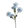 Flores Artificiales Nuevas con 5 Cabezas, Peonías Chanel para Arreglos de Boda, Decoración de Sala de Estar en Casa, Comercio Exterior Transfronterizo al por Mayor