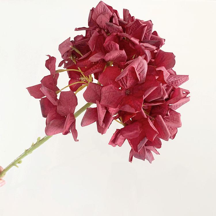 QQ图片20220713120929