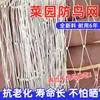 Malla Antipalomas de Poliéster, Multifilamento de Nylon con Tejido de Borde, Apertura de Ventilación para Invernadero, Canalón, Malla Antiaparición de Abejas, Terreno Agrícola, Estanque de Peces, Huerto, Frutales