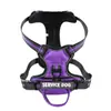 Arnés para Perro Cuaderno Personalizado Arnés Chaleco para Perro Arnés Antiperdida Lindo Mascota Arnés de Entrenamiento para Perro Pequeño