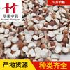 Gorgon 1000g Huamei Materiais Medicinais Chineses Fornecimento Atacadista de Dois e Meio Sementes de Gorgon São Estáveis e Quantitativas