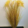 Espigas de Arroz Híbrido: Modelo de Planta de Espiga de Trigo Artificial, Modelo de Campo de Arroz con Espigas de Cebada