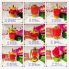 El decimoquinto día del primer mes lunar, linternas rojas pequeñas para la tumba, Festival Qingming, el primer mes del año, baterías electrónicas, luces de bendición