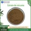 Extrato de Cúrcuma 10:1 Pó de Cúrcuma Solúvel em Água Extrato de Cúrcuma em Pó 1kg Venda Mínima Fabricante em Estoque