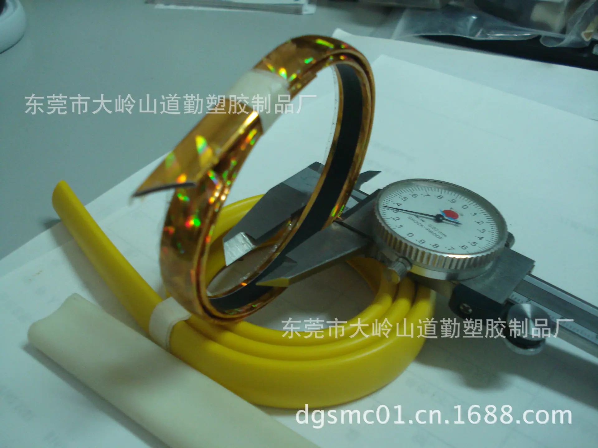 DSC04567