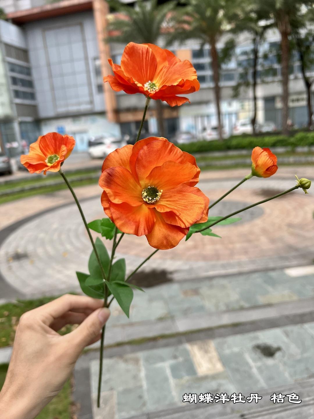 微信图片_20220419092320.jpg