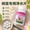 Tabletas Purificadoras de Agua Especiales para Loto de Cuenco, Nenúfar, Estanque de Lotos, Desodorantes, Eliminación de Impurezas, Plantas Hidropónicas Claras, Purificación del Agua, Extender el Período de Floración
