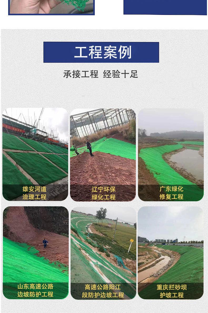 三维植被网_08.jpg