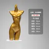 Alta tasa de recompra de accesorios de modelo: modelo de lencería en forma de corazón dorado, modelo de nalga dorado, modelo de busto de hombros caídos dorado (calidad premium).