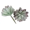 Mini Planta Suculenta Artificial Única Suculenta Falsa Flor Artificial Adorno de Micro Paisaje Oficina Planta Verde Real Artificial Alto