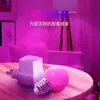 Lâmpada LED Colorida com Controle Remoto para Quarto, Mesa de Cabeceira, Iluminação de Humor, Atmosfera, Mudança de Cor, Xiaoshihui