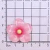 Hielo Transparente Multicolor Flor de Cinco Pétalos Plumeria Accesorios de Resina Pegamento en Crema DIY Agujero Zapato Llavero Imán de Refrigerador Llave