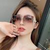 Nuevo estilo montura grande TikTok gafas de sol para mujer moda little red book gafas tornillo de copia gafas de sol para viajes transfronterizos 23711
