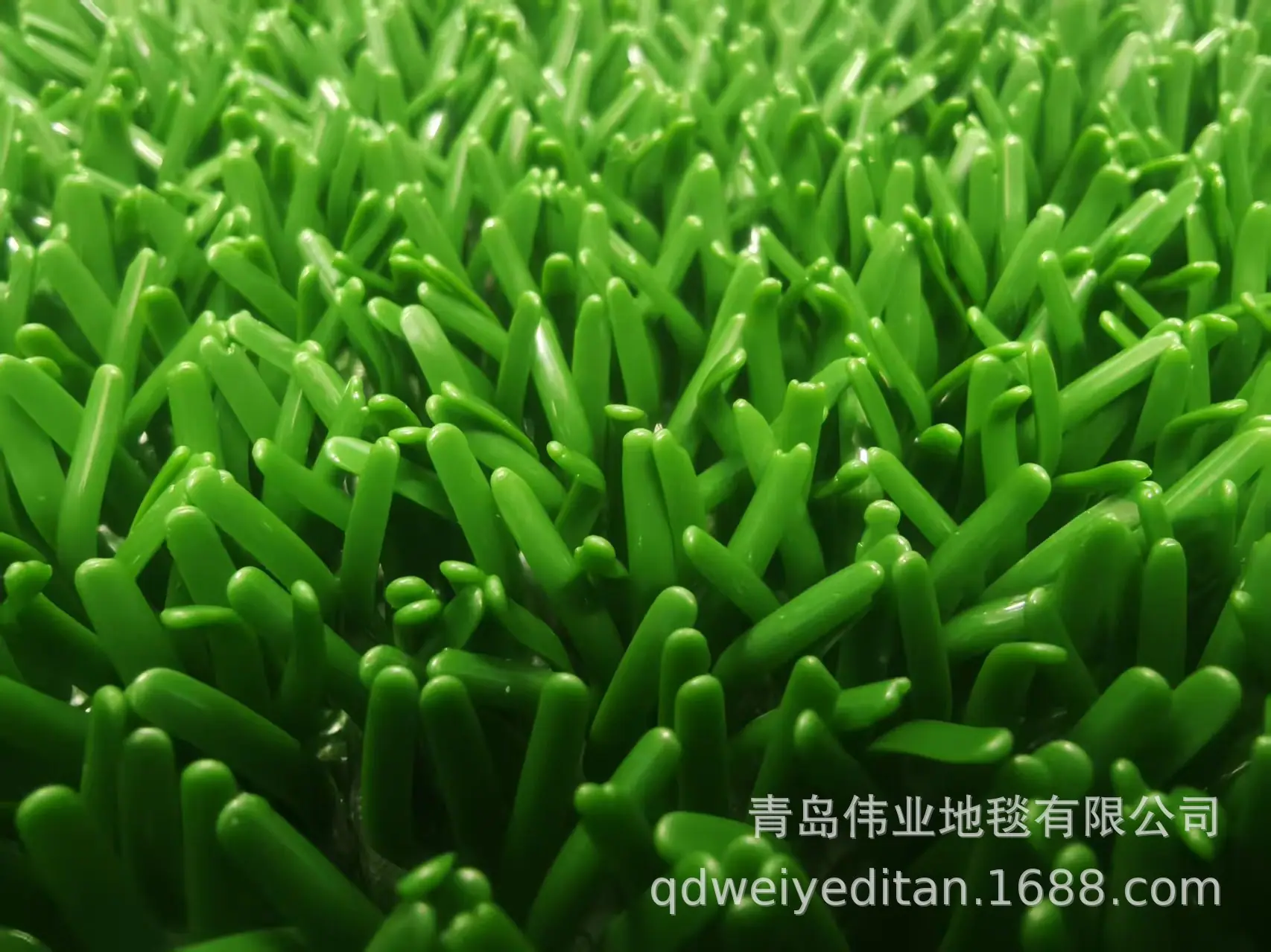 加粗加长粘金草加密增金布沾金毯河沙选金淘金草粘金草