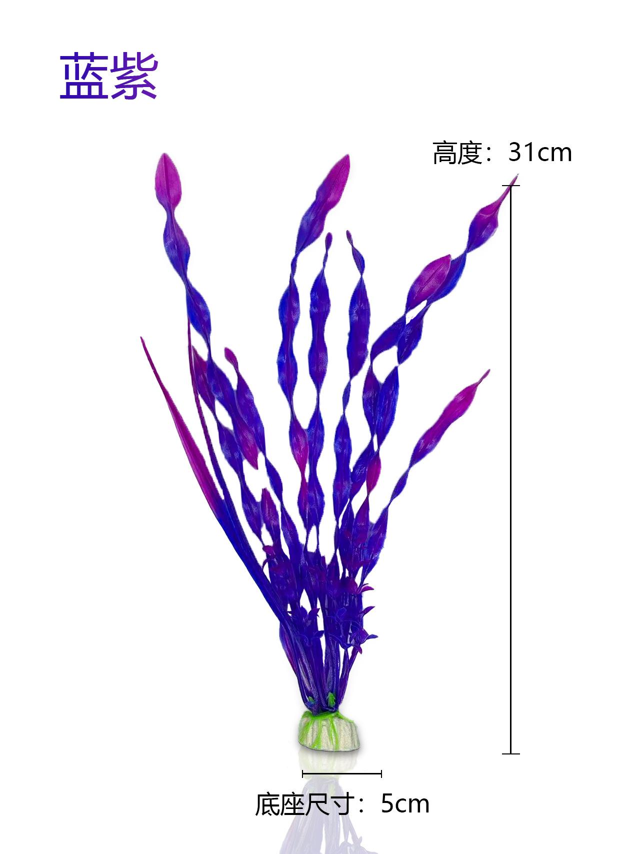 蓝紫海草