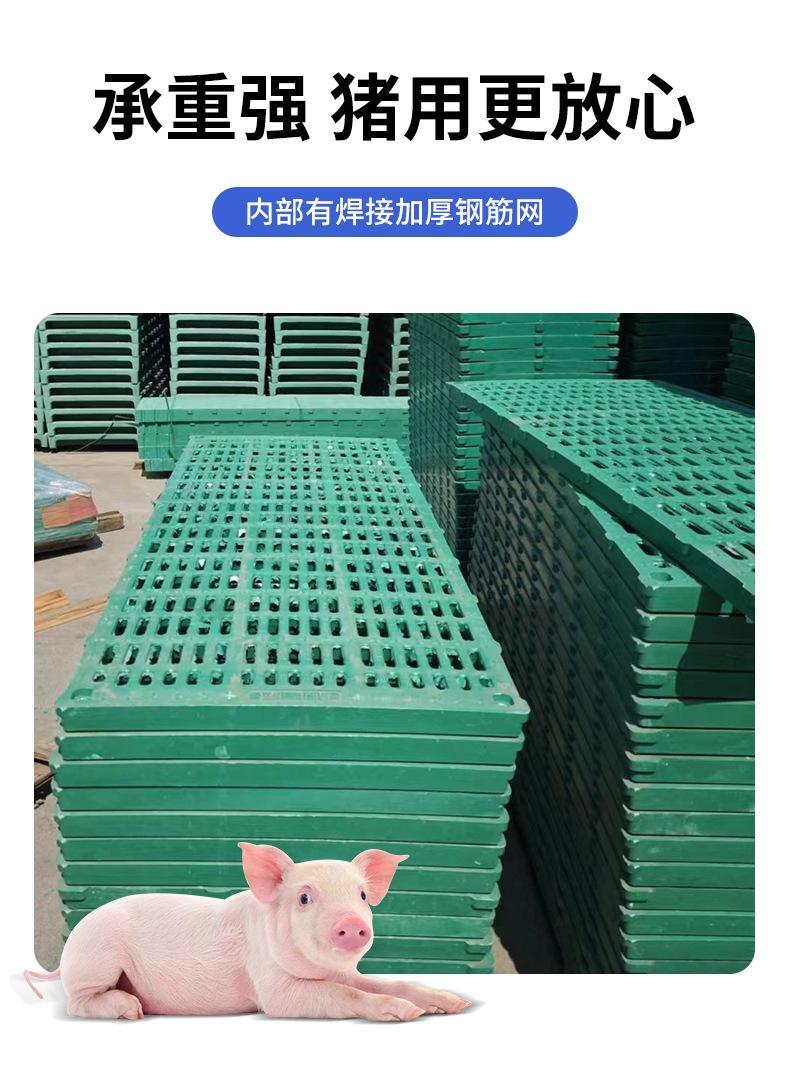 详情_06