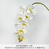 Orquídea Phalaenopsis de 9 Flores Impressa em 3D Decoração de Mesa Nórdica Arranjo Floral de Casamento Phalaenopsis de Filme Flor Artificial de Alta Qualidade Azul-Roxo