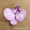 Película de Cabeza de Flor Phalaenopsis de 12 cm Impresa en 3D Decoración de Caja de Dulces para Recuerdo de Boda Flor Boda Decoración Floral
