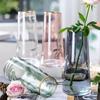 Vaso de Vidro Transparente Pintado a Ouro Famoso na Internet Decoração de Flores para Sala de Estar Vaso Criativo Simples Nórdico para Cultivo em Água